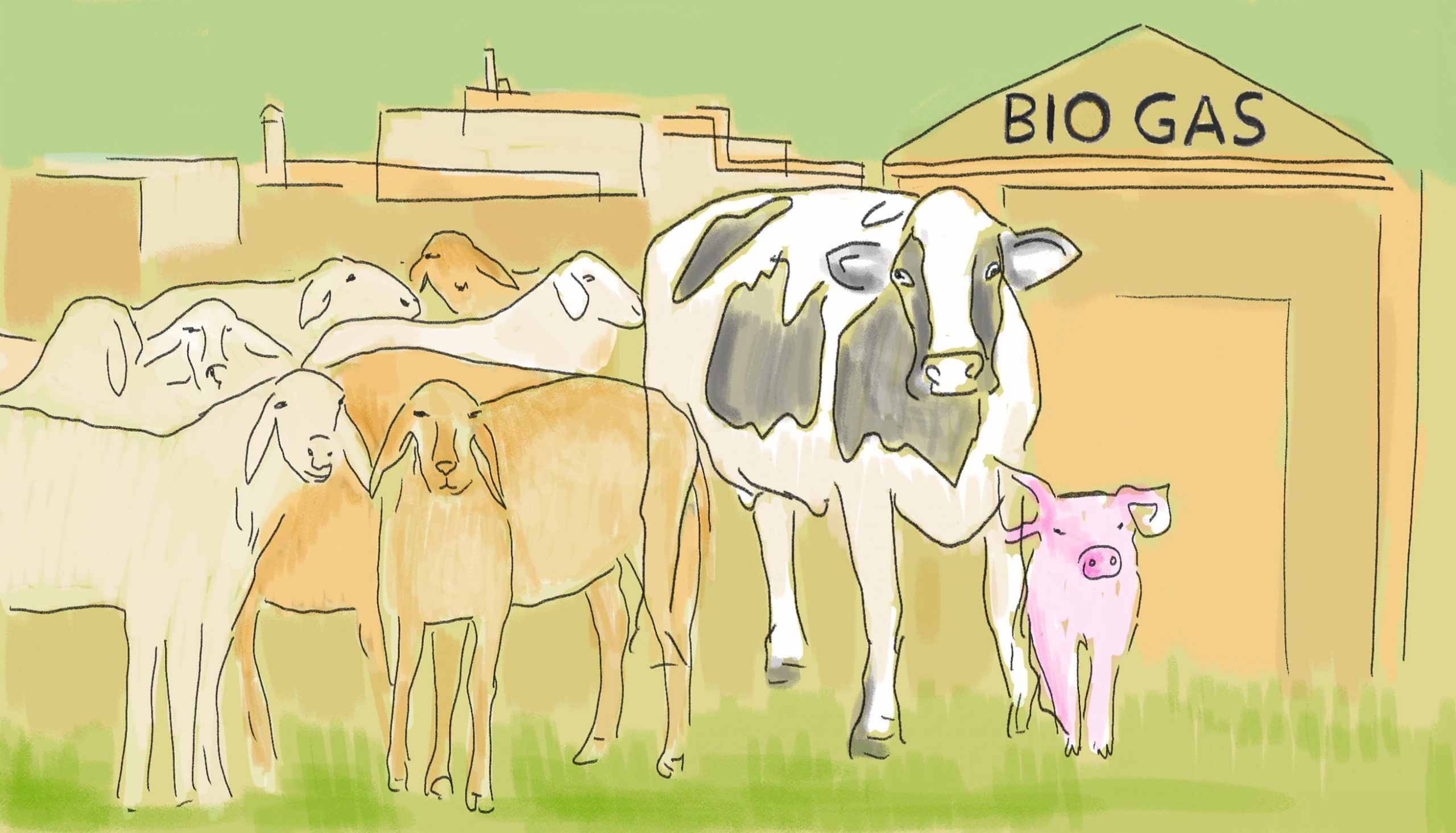 impianto biogas